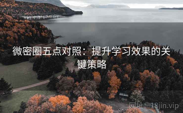 微密圈五点对照：提升学习效果的关键策略