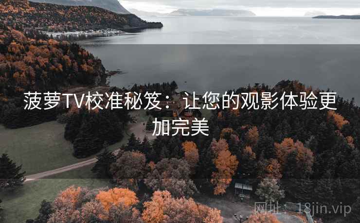 菠萝TV校准秘笈：让您的观影体验更加完美  第2张