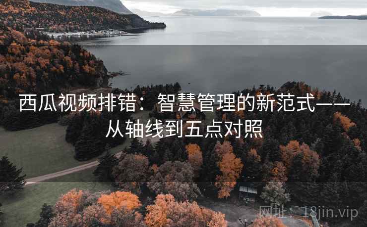 西瓜视频排错:智慧管理的新范式——从轴线到五点对照 第1张 西瓜视频排错:智慧管理的新范式——从轴线到五点对照 第1张