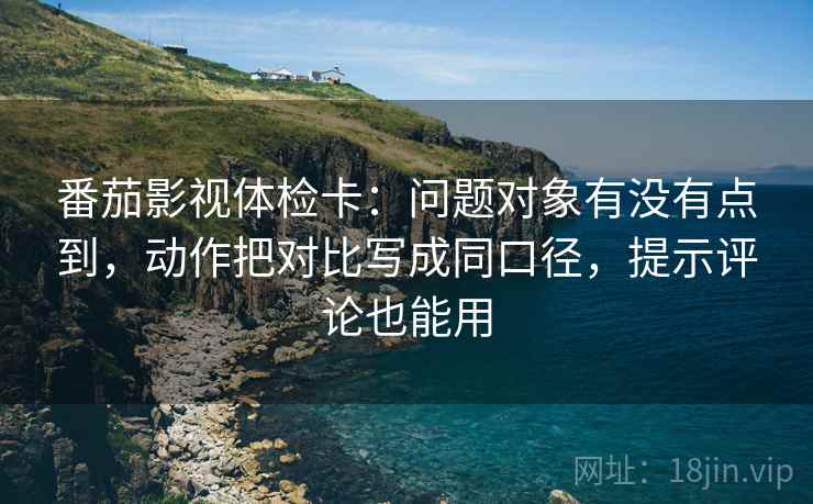 番茄影视体检卡:问题对象有没有点到,动作把对比写成同口径,提示评论也能用